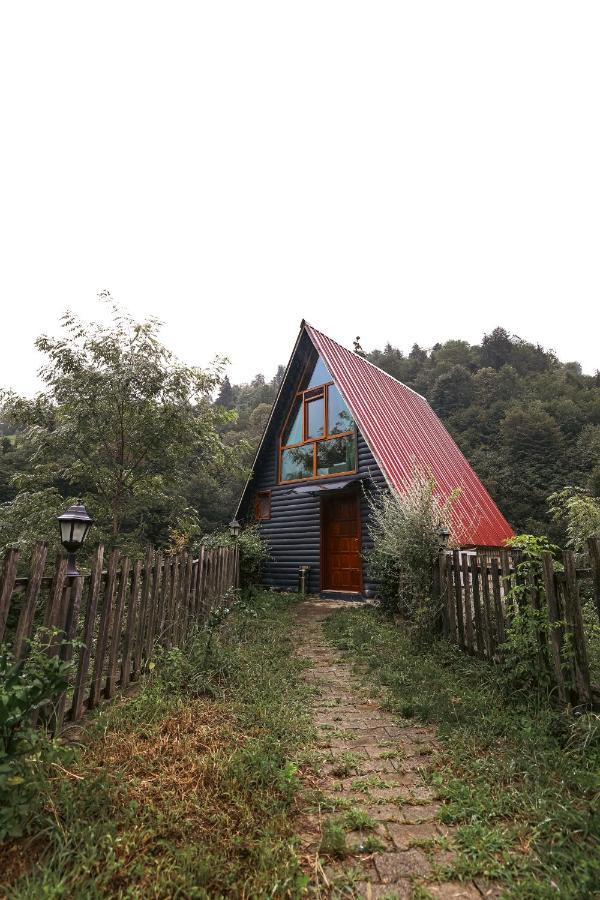 bungalove tatil köyü Çamlıhemşin Exterior foto